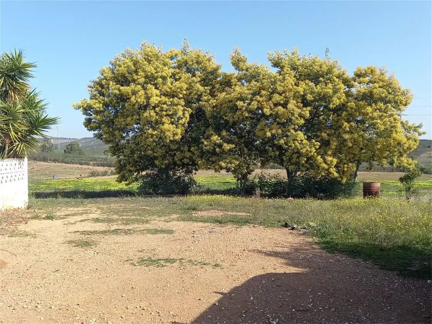 Terreno en venta en Alosno