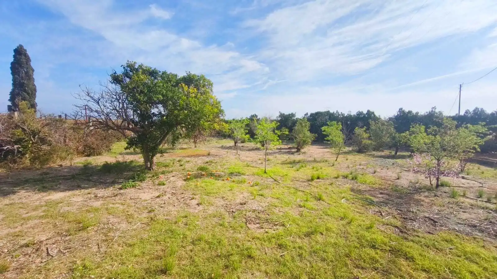 Finca rústica en venta en Cullera