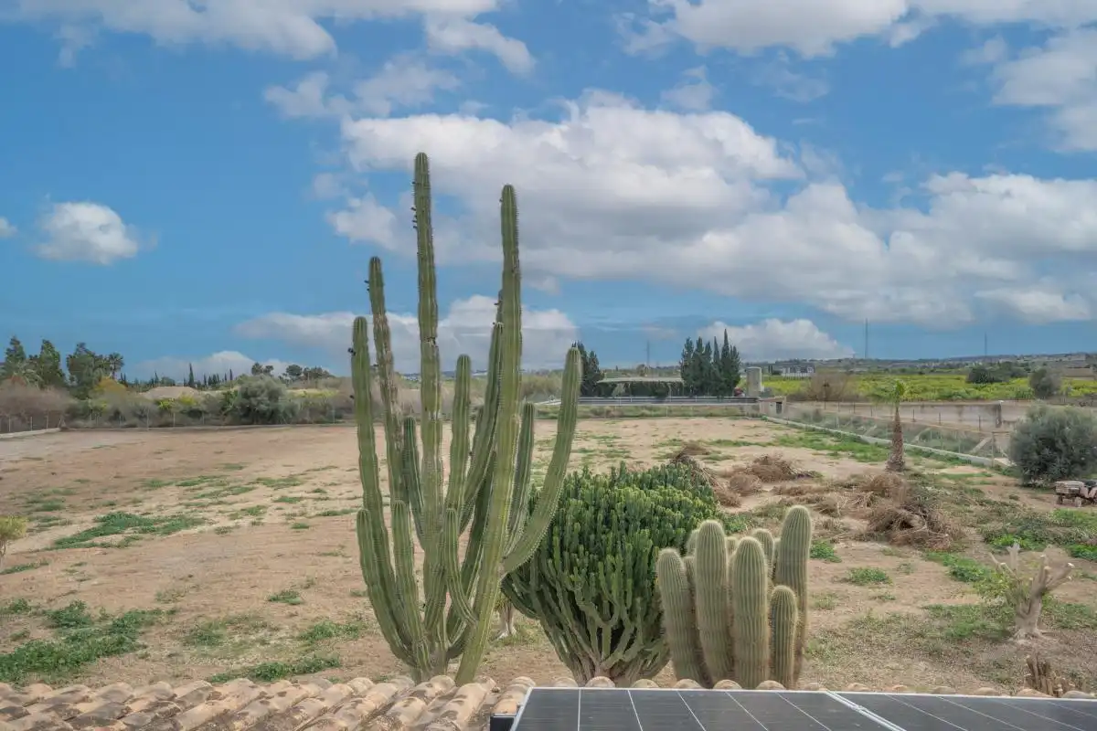 Casa o chalet en venta en San Miguel de Salinas con Aire acondicionado, Calefacción y Jardín privado
