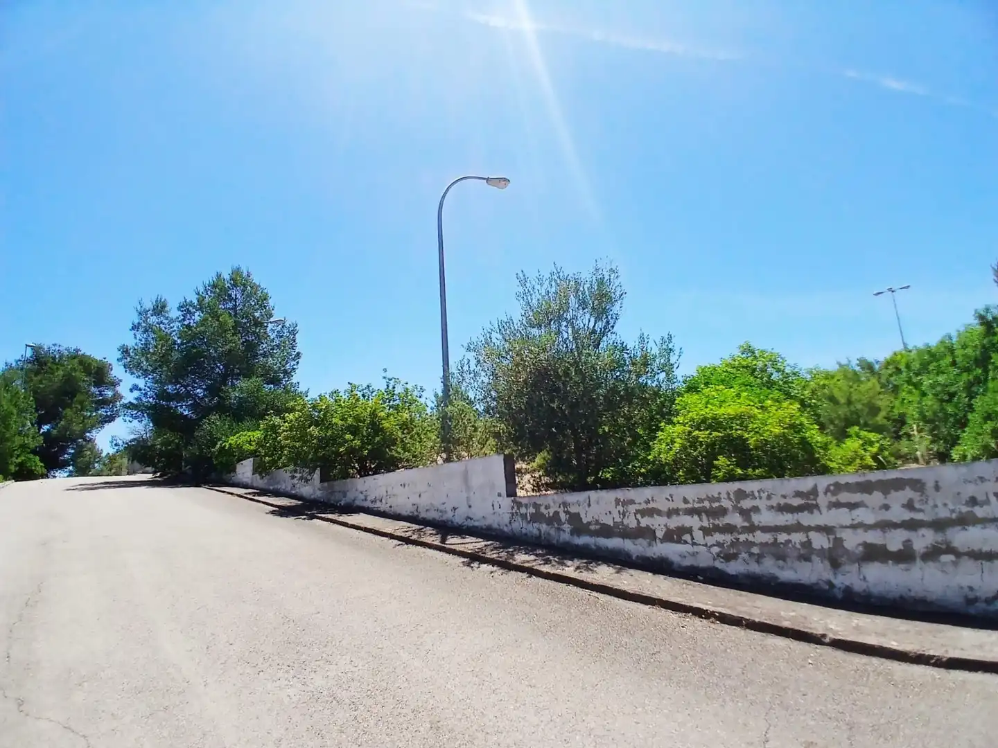 Terreny residencial en venda a Alberic, imagen 4