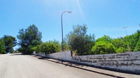 Parcela en venta en la Urbanización de San Cristóbal Alberic, imatge 4