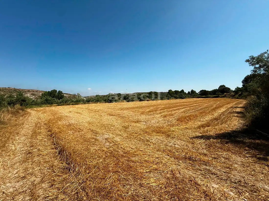 Finca rústica en venta en Bocairent con Piscina