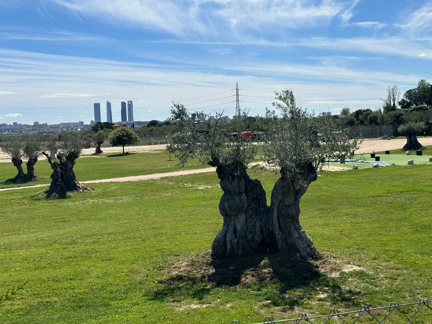 Jardín de Terreno en venta en Madrid