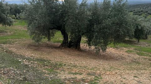 Foto 5 de Terreny en venda a Ja-2321, 181, Andújar, Jaén