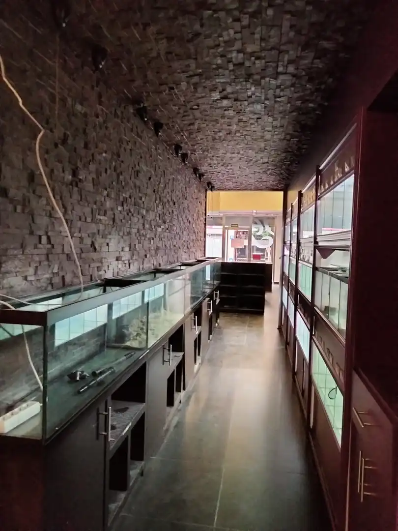 Business premises to rent in Centro, imagen 13