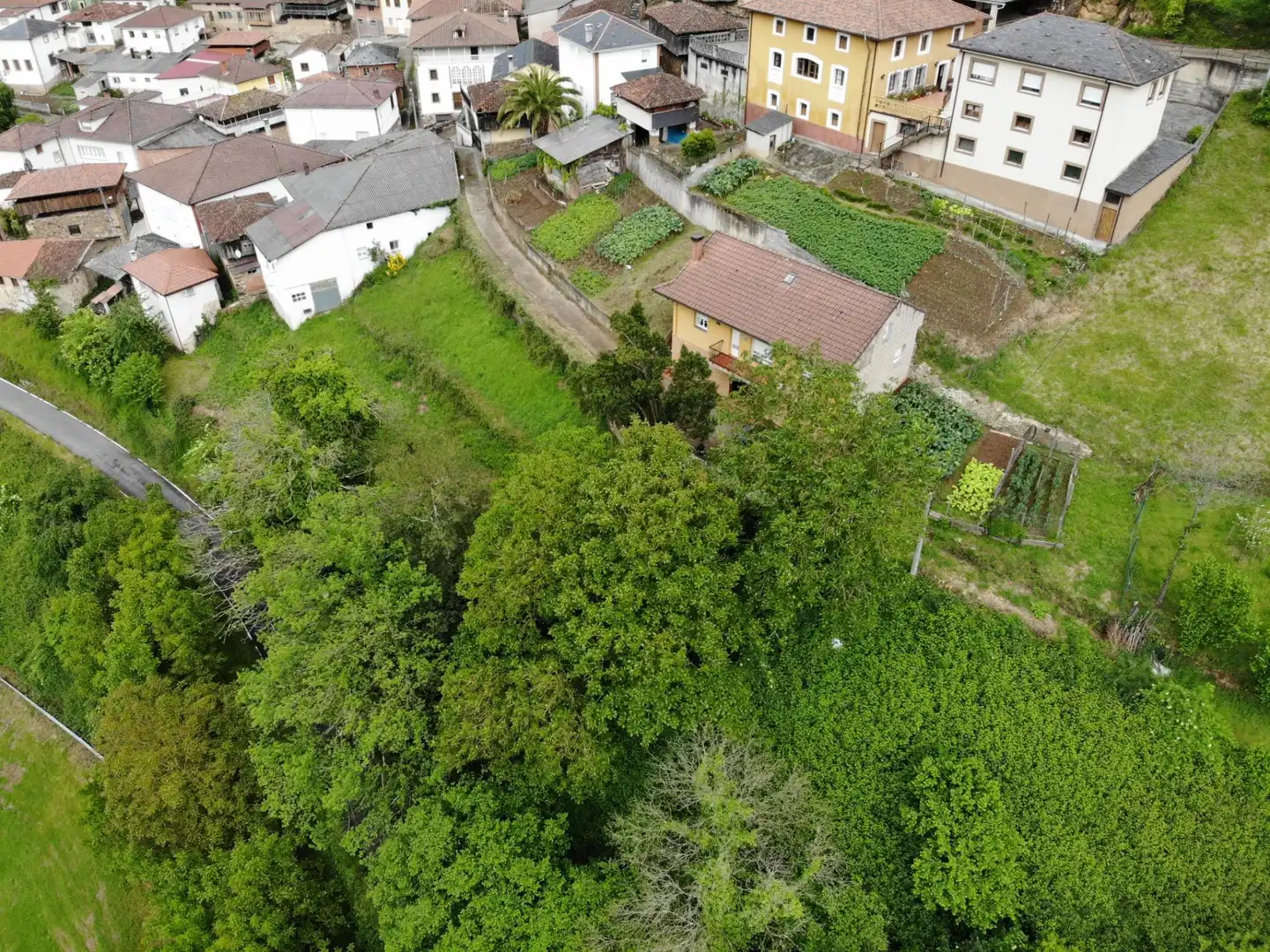 Casa o xalet en venda a RIOCASTIELLO, 28, Tineo