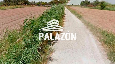 Finca de cultivo en venta en Callosa de Segura Alicante, imatge 3