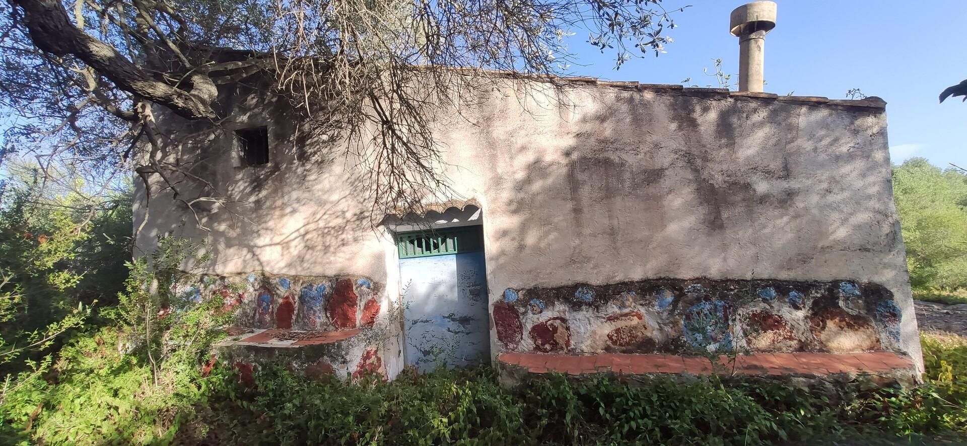 Vista exterior de Finca rústica en venta en Amposta