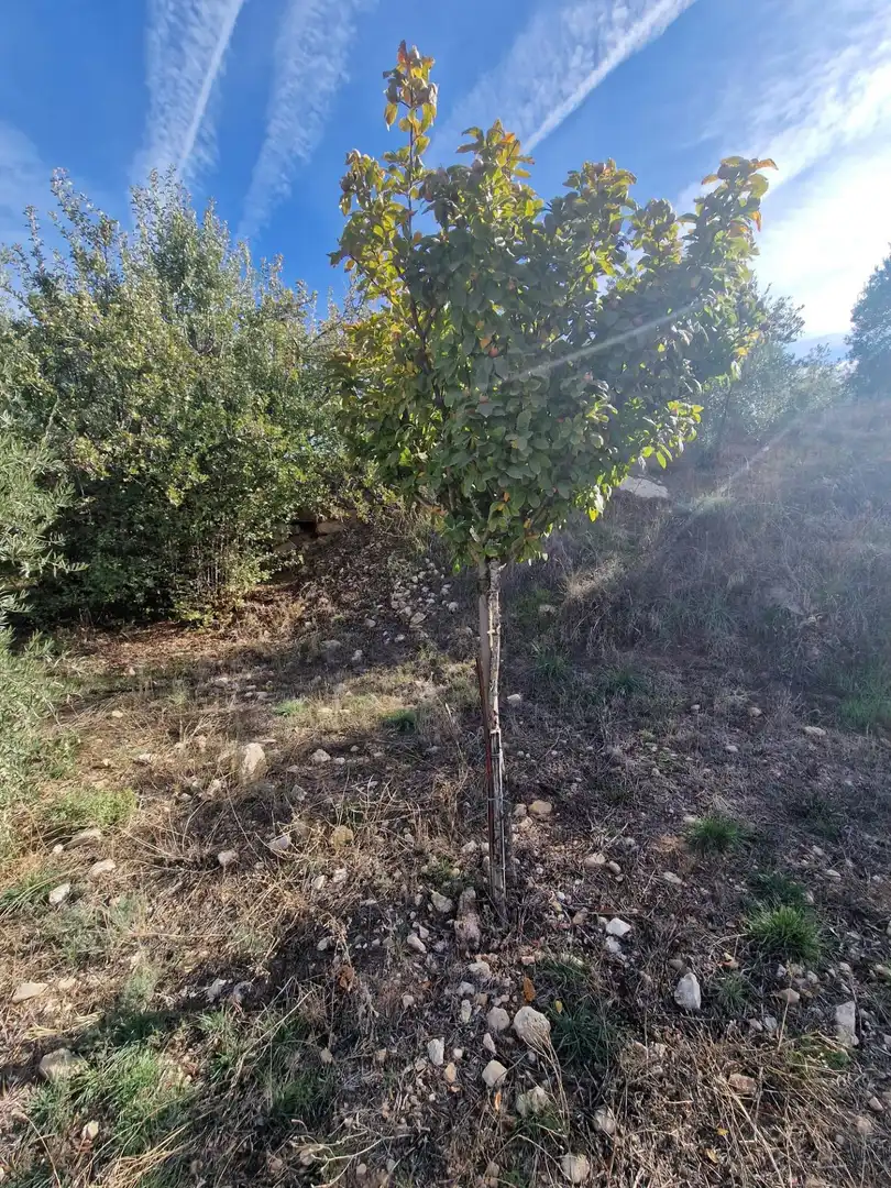 Maison rustique avec jardin à vendre à Cogollos de la Vega, imagen 69