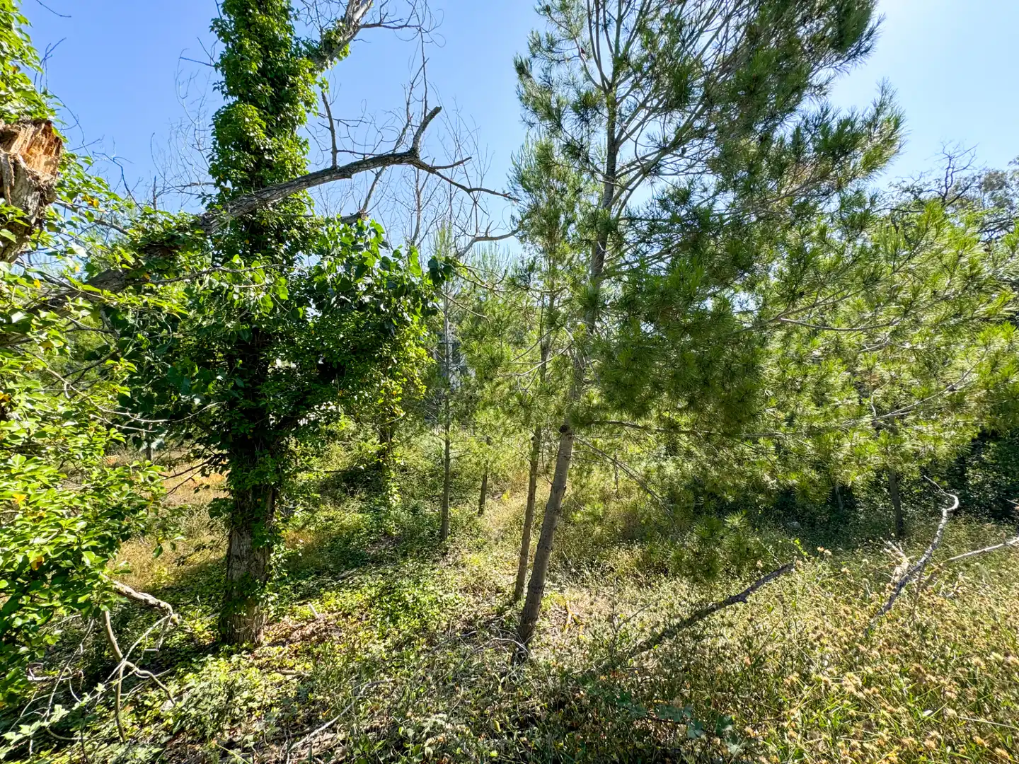 Terreno residencial en venta en Carrer de les Repassadores 5, imagen 6