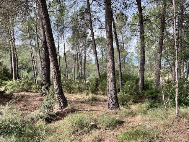 Terreno residencial en Venta en Bicorp