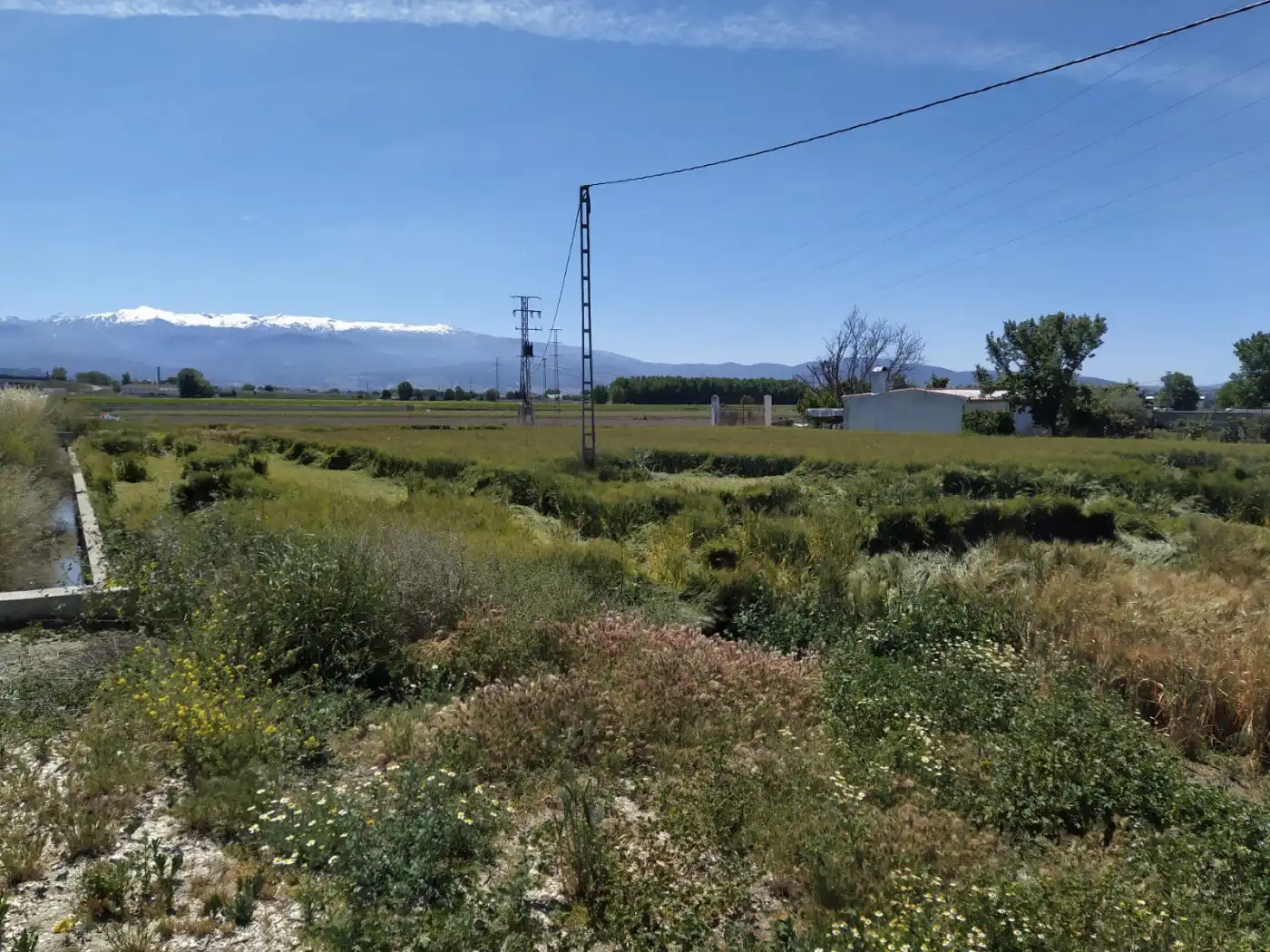 Residencial en venta en Granada
