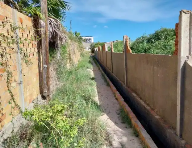 Rural land for sale in Sueca ciudad, imagen 6