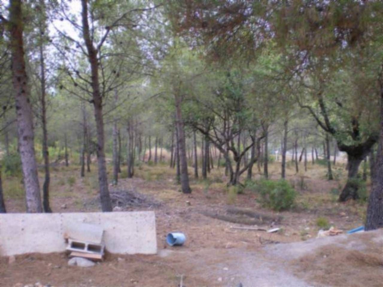 Finca rústica en venta en Sagunto / Sagunt con Terraza