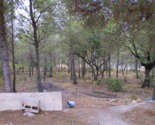 Finca rústica en venda en Sagunto / Sagunt amb Terrassa