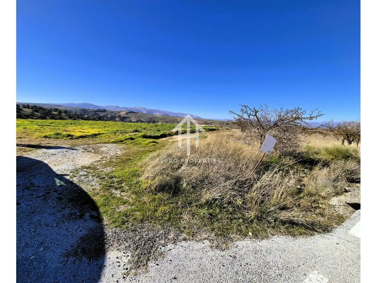 Terreni e lotti in vendita a Alhama de Granada, imagen 5