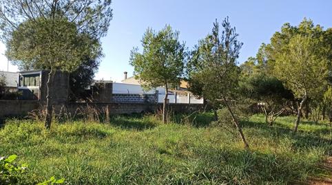 Photo 4 of Residential for sale in Son Ramonell - Es Figueral, Marratxí