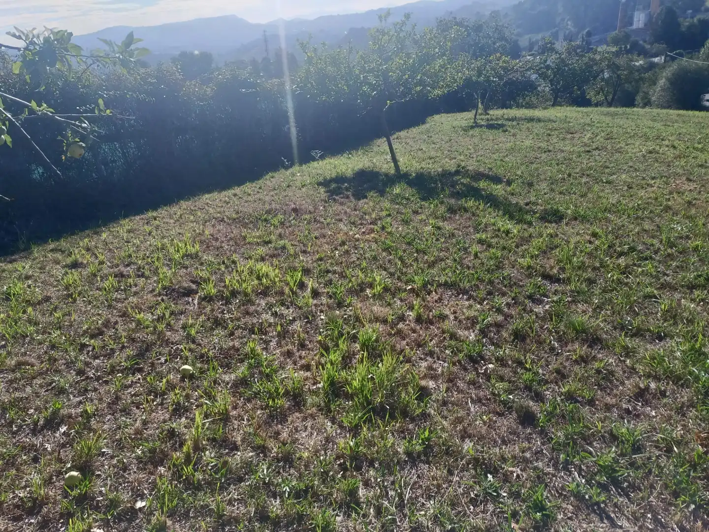 Terrain rustique à vendre à Barrio Cenero Urbano 10A, imagen 12