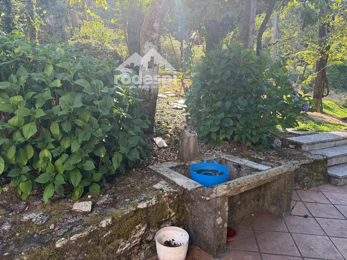 Jardín de Casa o chalet en venta en Covelo con Calefacción, Terraza y Piscina