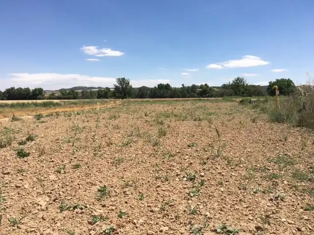Rural land for sale in Calle del Pozo del Concejo, imagen 4