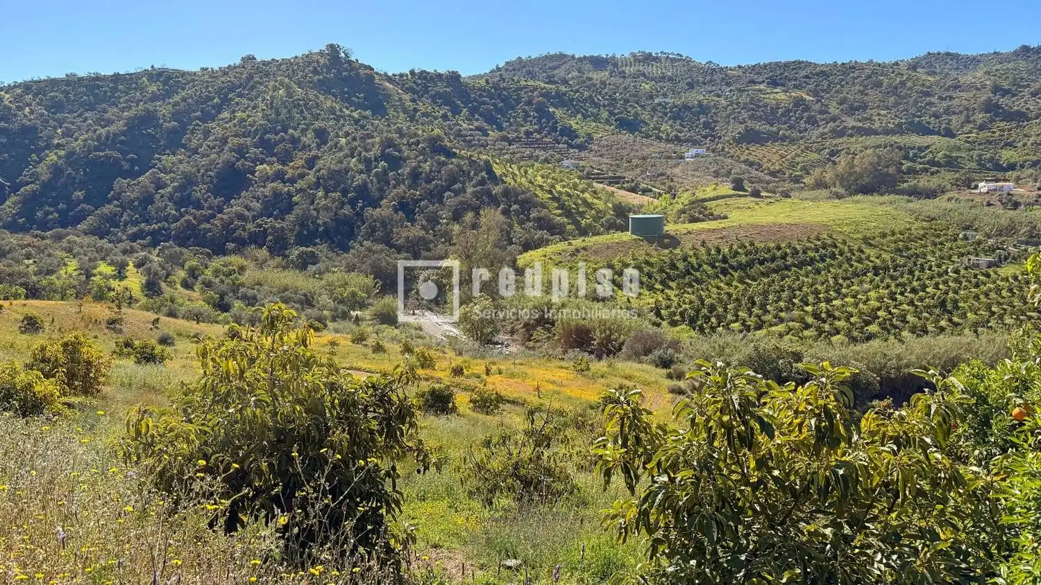 Casa con jardín en venta en Diseminados, imagen 3