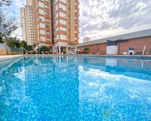 Piscina de Apartament en venda en Benidorm amb Aire condicionat, Jardí privat i Terrassa
