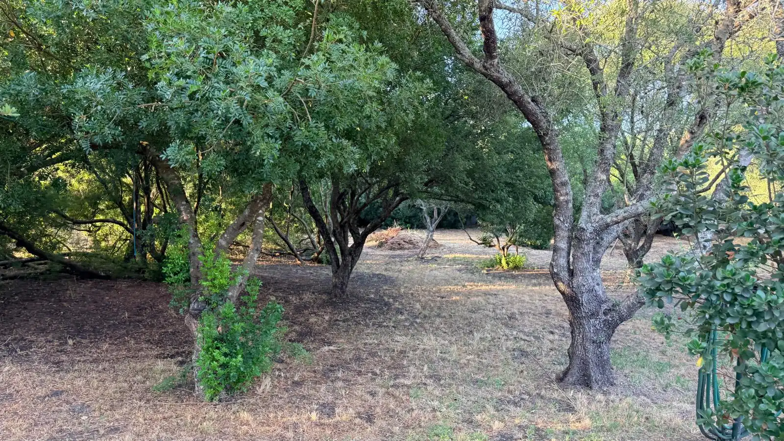 Country homes for sale in Vejer de la Frontera  with Air Conditioner, Heating and Private garden