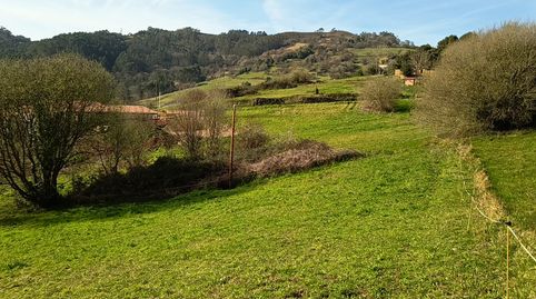 La Peral (Illas) Asturias, finca edificable, immagine 2