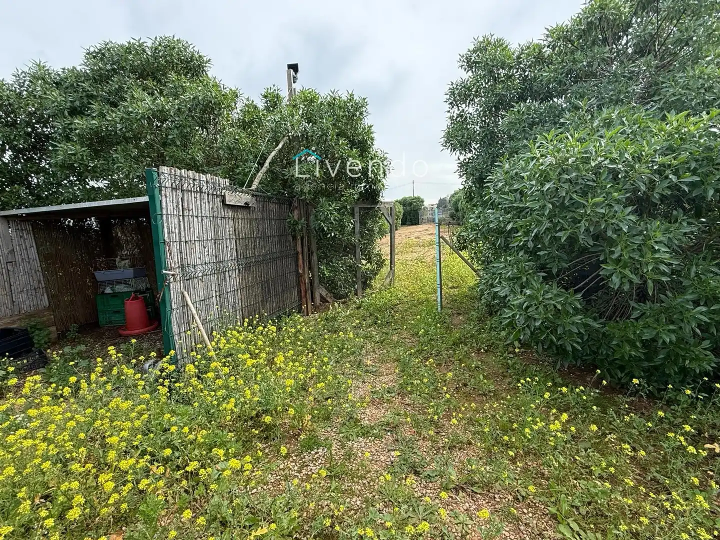 Terreny en venda en Conil de la Frontera