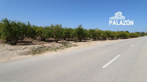 Parcela rústica en venta en Albatera Alicante