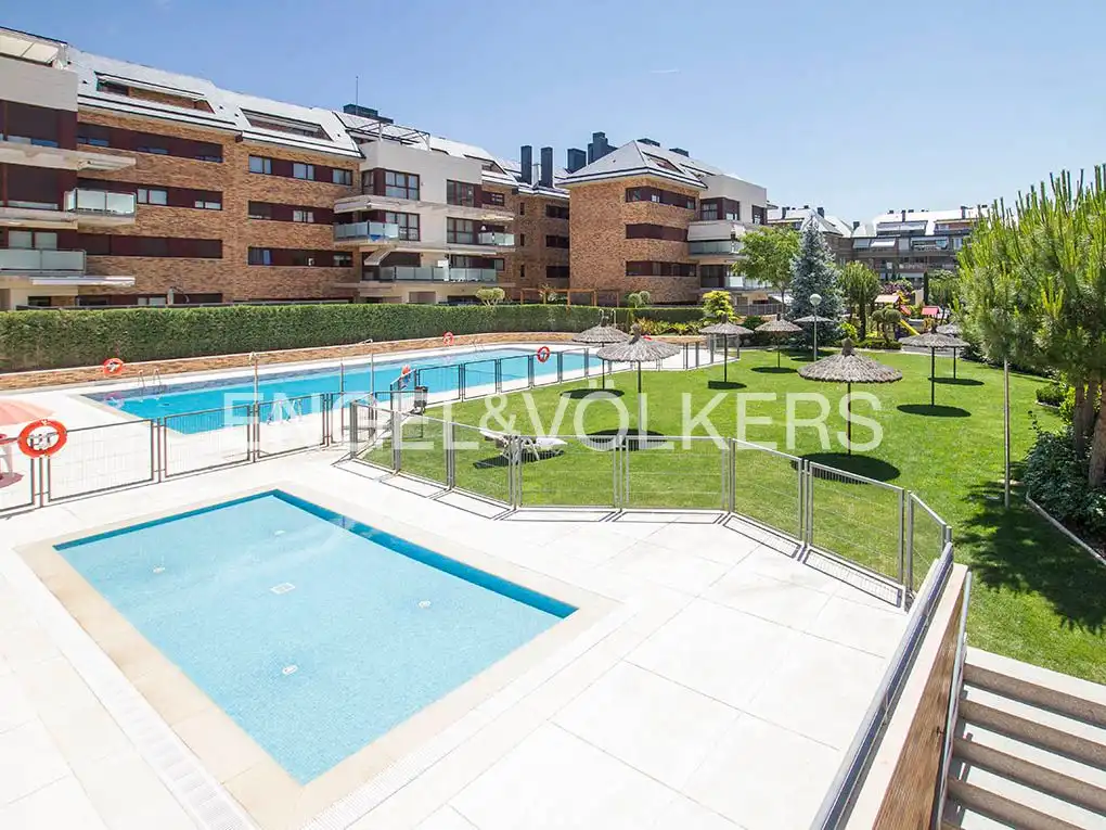 Piscina de Ático de alquiler en Zona Monte El Pilar