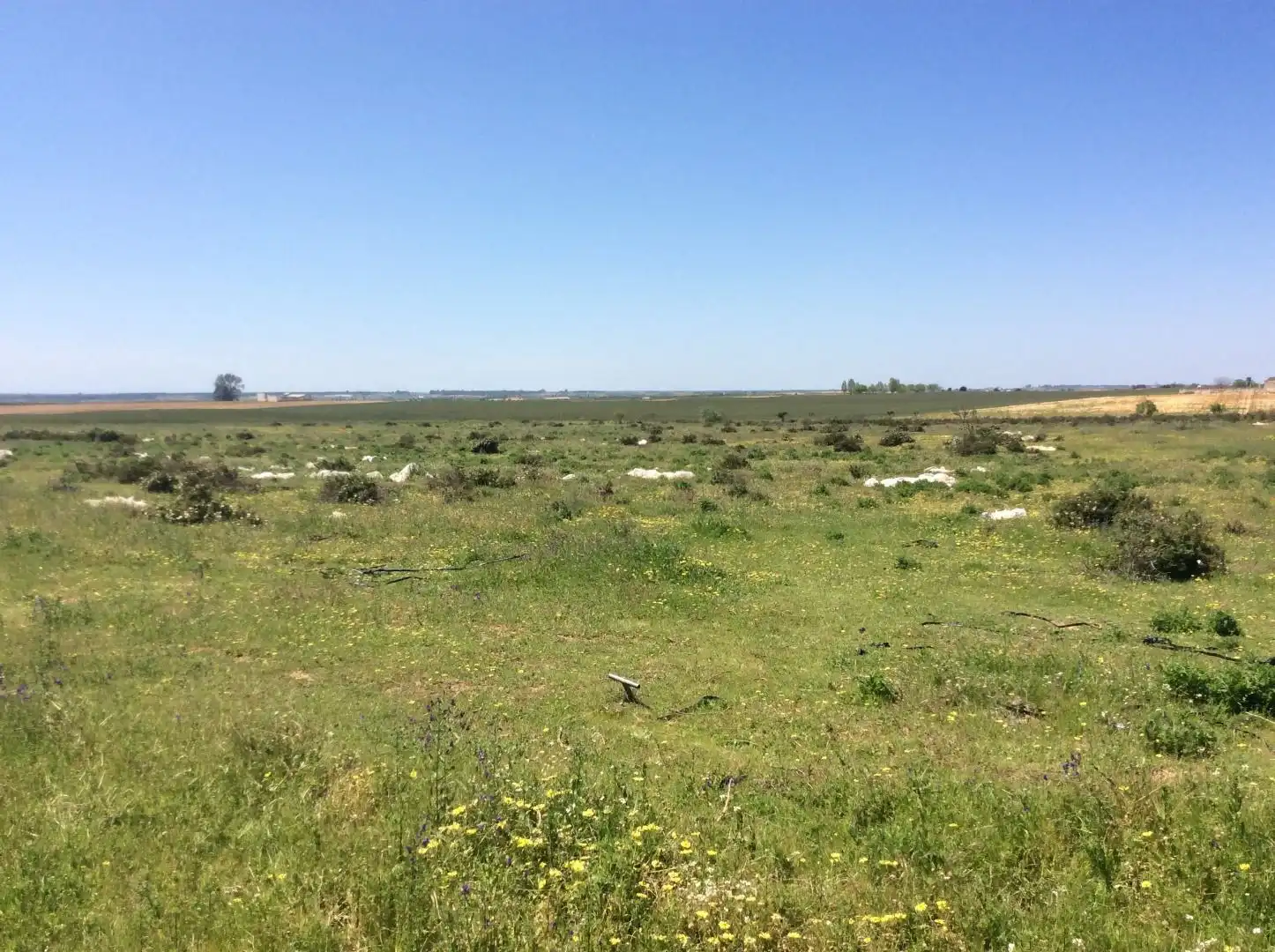 Land for sale in Almonte