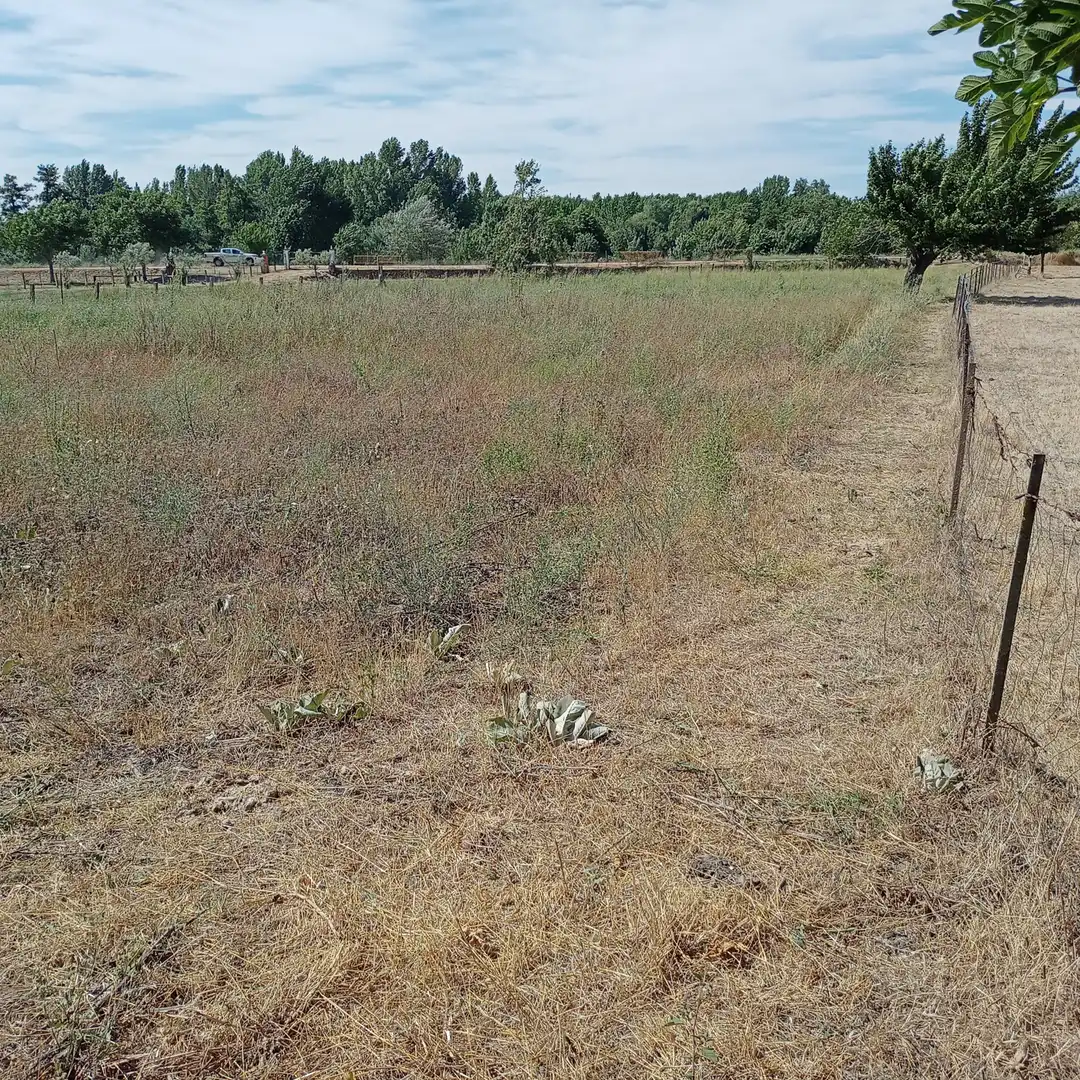 Terreno rustico in vendita a Calle Bajada de Santa Cruz 6D, imagen 11