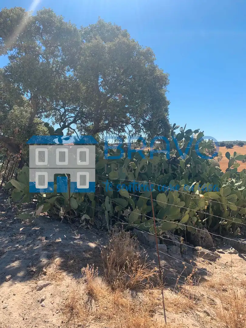 Chalet en venta en La Haba, imagen 29