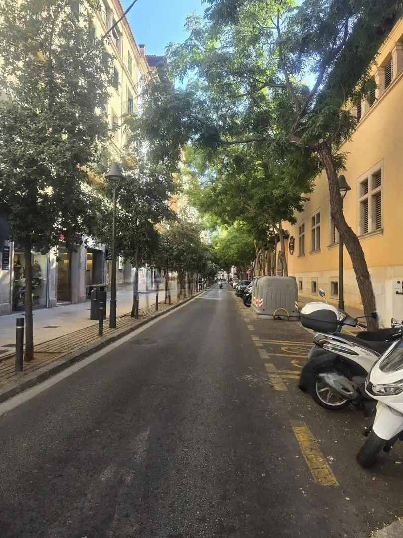 Vista exterior de Piso en venta en  Palma de Mallorca con Aire acondicionado, Calefacción y Terraza