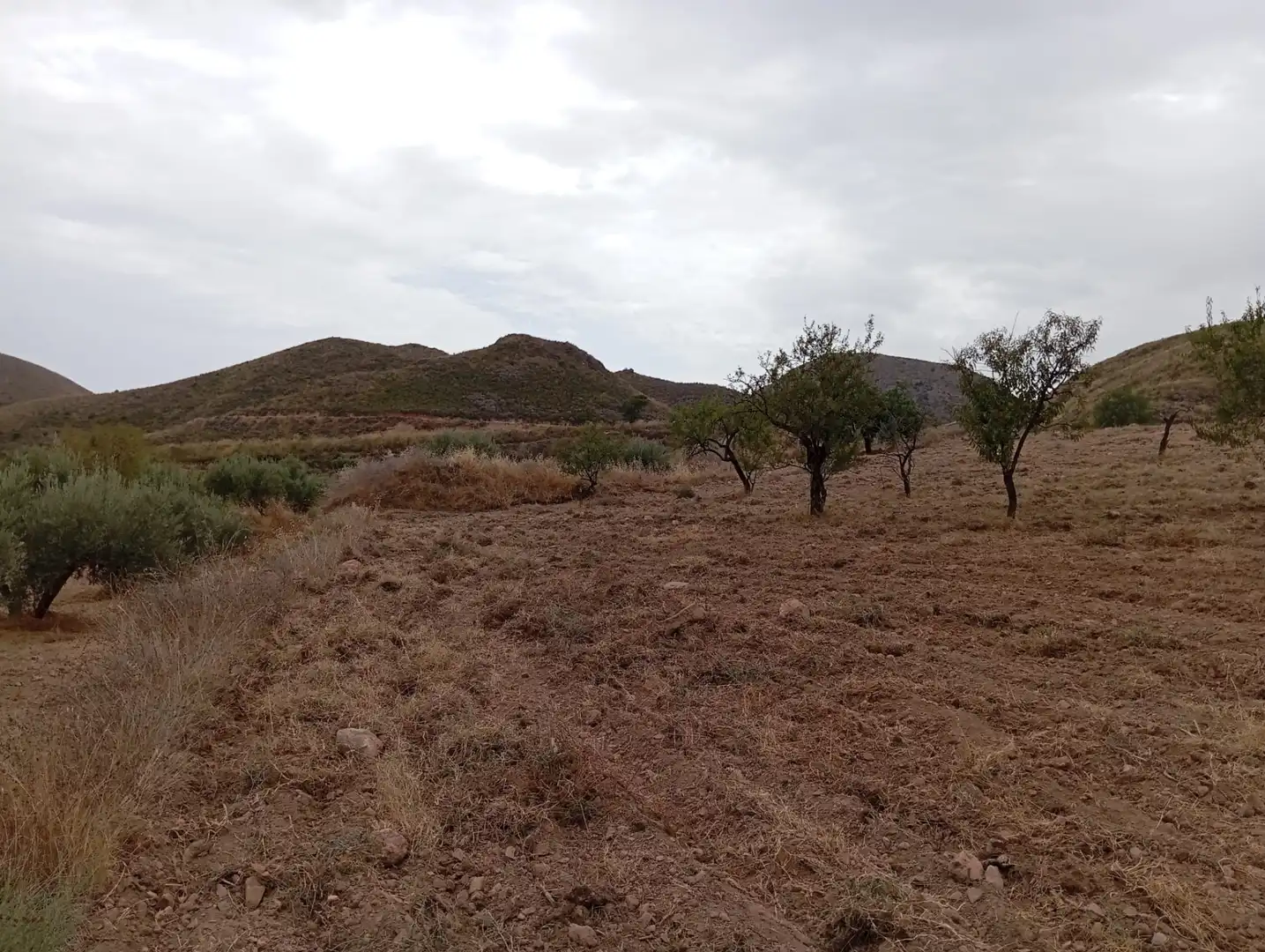 Terreni e lotti in vendita a Bolnuevo, imagen 16