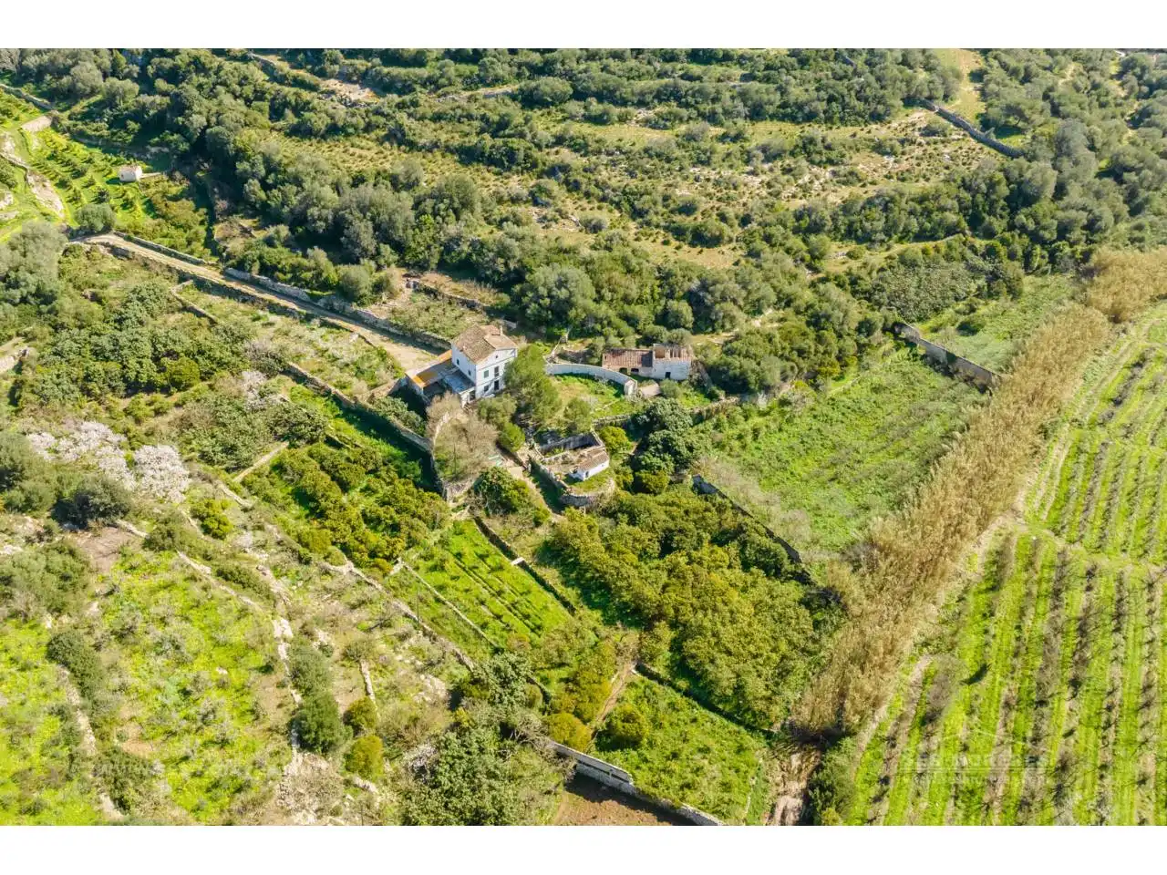 Terreno rustico in vendita a Alaior poble, imagen 3