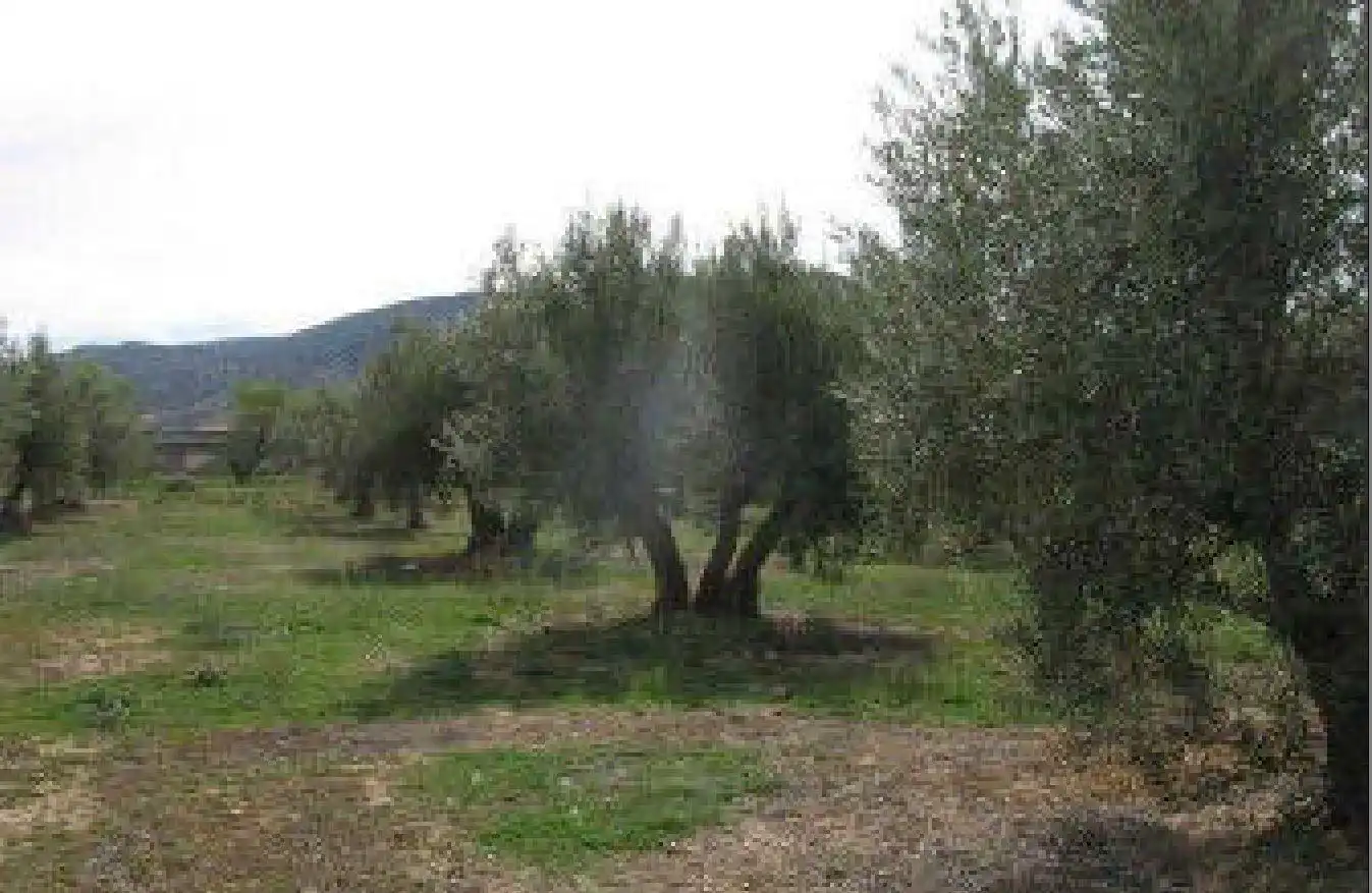 Rural land for sale in Cm Orce, imagen 12
