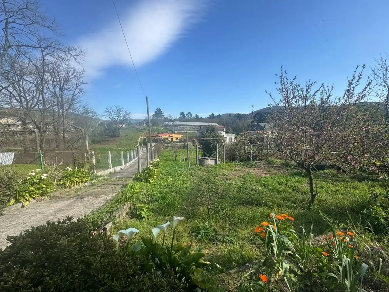 Casa o chalet en venta en San Rosendo