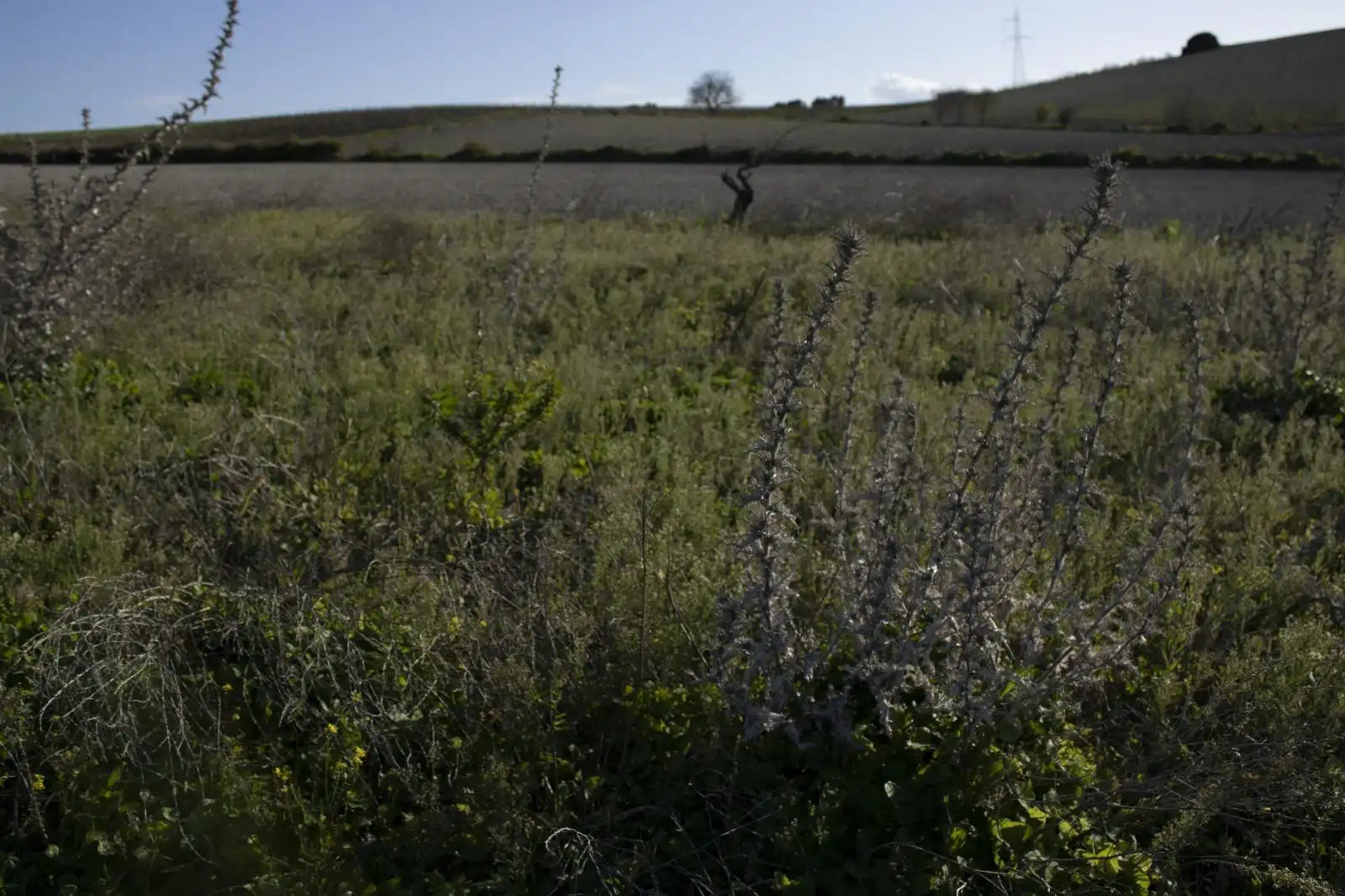 Wohnbaugrundstück zum Verkauf in Los Franceses – La Vega, imagen 4