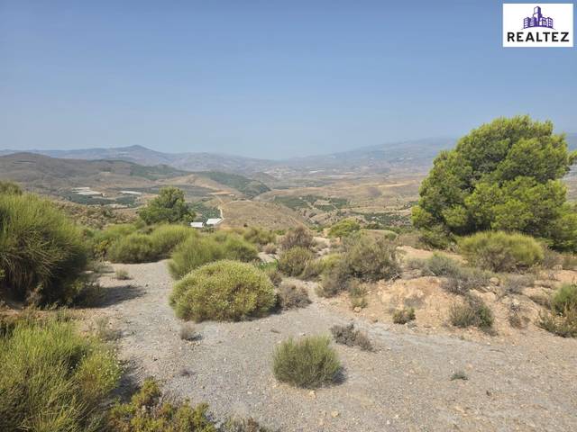 Terreno en Venta en Alcolea