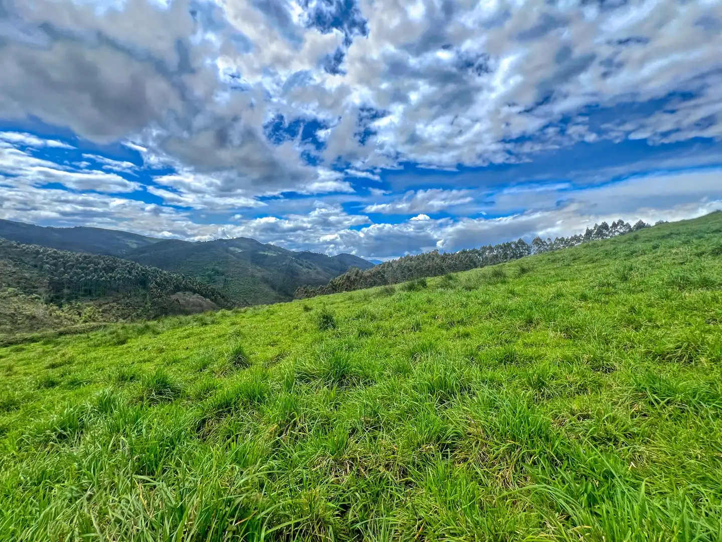 Lands and plots for sale in Pillarno, imagen 9