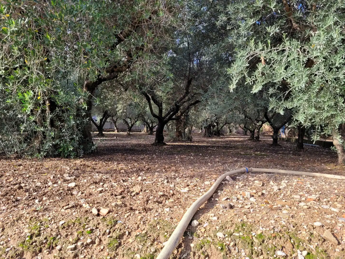 Casa o xalet en venda a Cocentaina