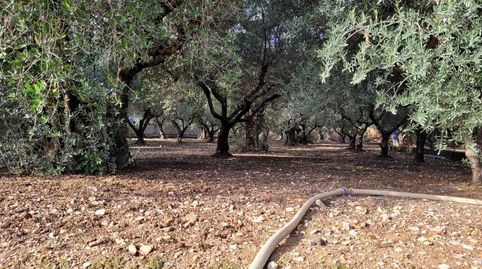Foto 5 de Casa o xalet en venda a Cocentaina, Alicante