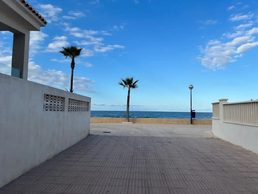 Exterior view of Apartments for sale in Miramar  with Air Conditioner, Terrace and Furnished