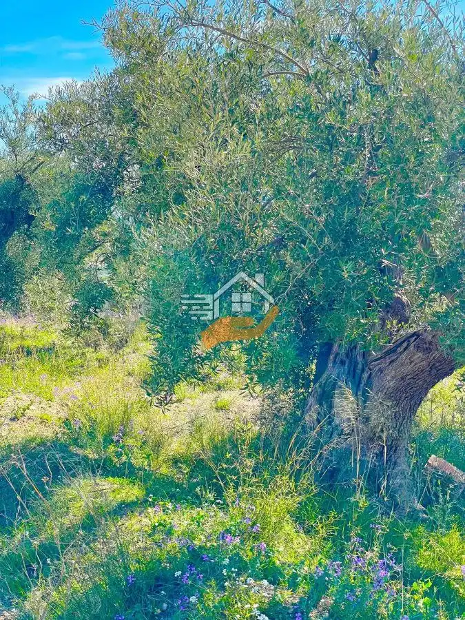 Terrenos y solares en venta en Vélez-Blanco, imagen 7