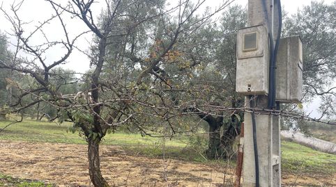 PARCELA RUSTICA EN LA ZONA DE LAS HUERTAS DEL RIO DE ARCHIDONA SALE A LA VENTA, immagine 3