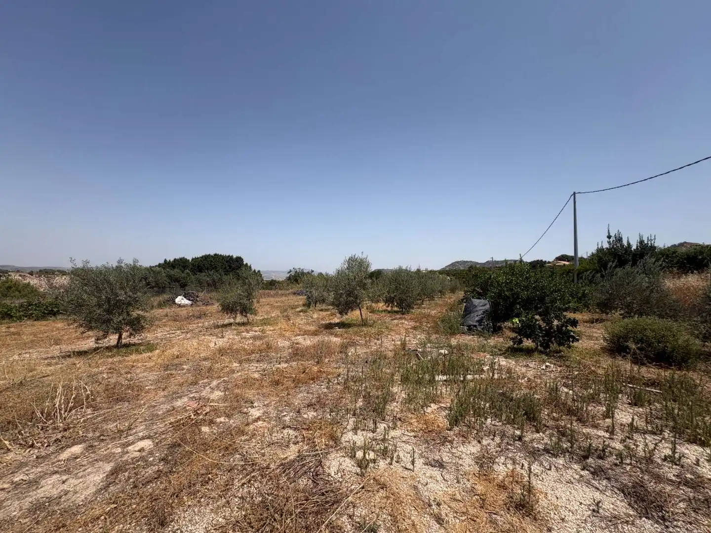 Terrenos y solares en venta en Pliego, imagen 9