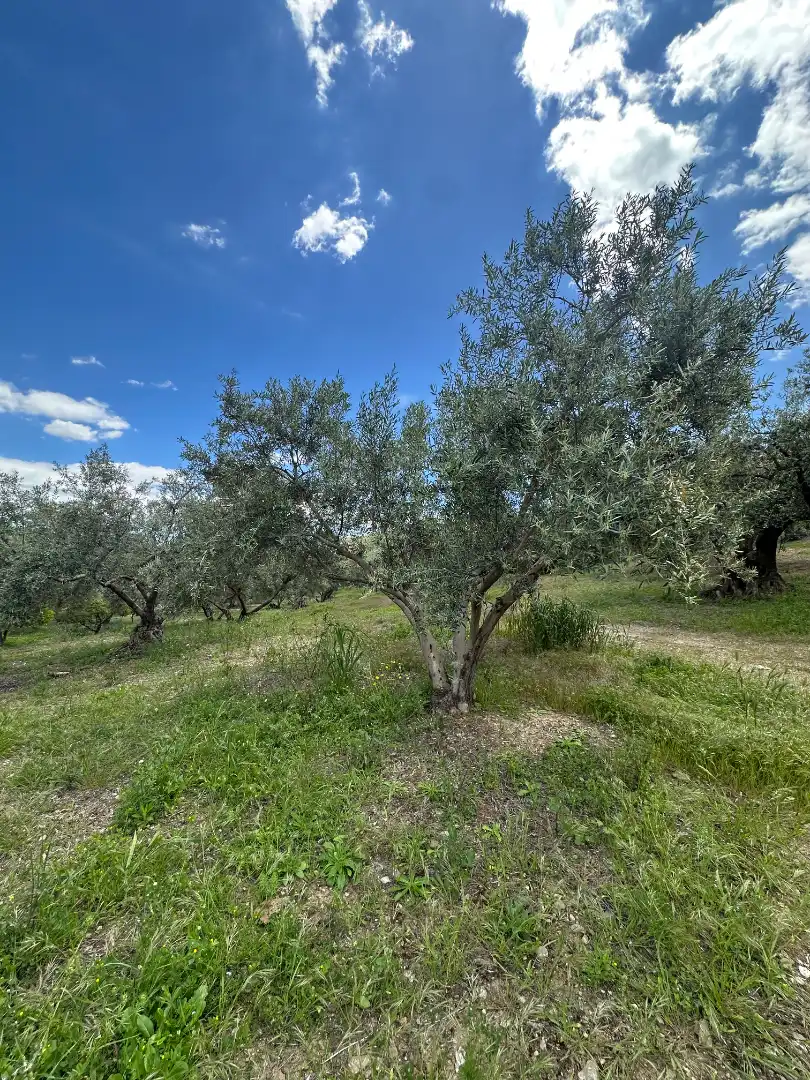 Terreni e lotti in vendita a Periana, imagen 42