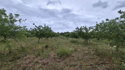 Foto 4 de Terreny en venda a N/a, -1, Poble, Mont-roig del Camp